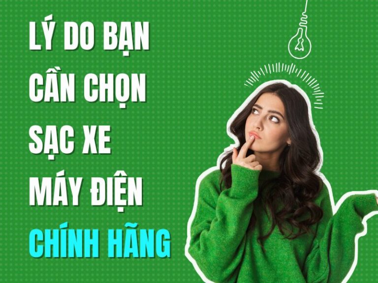 ly-do-ban-can-chon-sac-xe-may-dien-chinh-hang