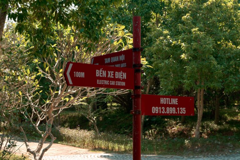 Trang chủ 33 featured image 85